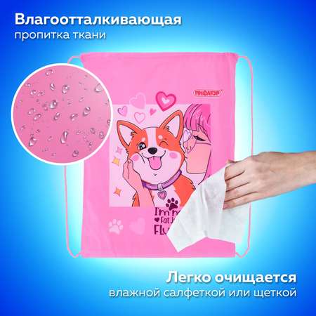 Мешок для обуви Пифагор