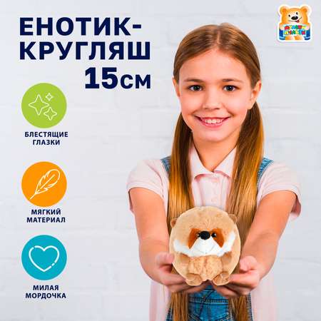 Мягкая игрушка Мульти Пульти енот