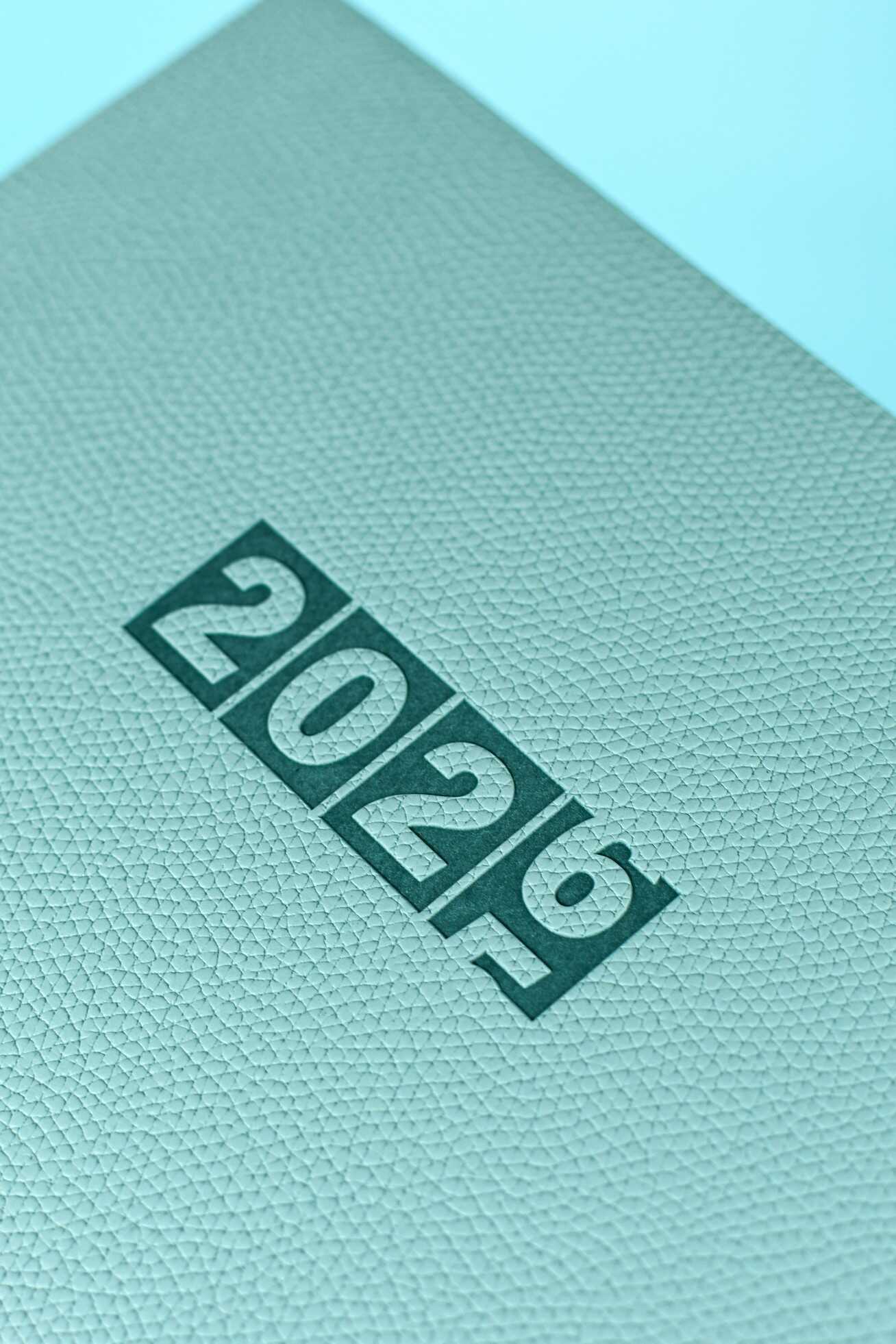 Ежедневник Феникс + ESCALADA 64 лист. - фото 2