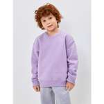 Свитшот Acoola