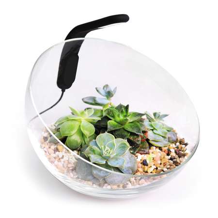 Набор аквариумный AquaLighter Wabi Set 1.7л