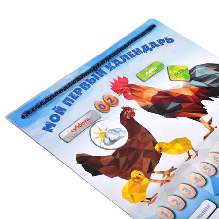 Настольная игра MAGNETICUS