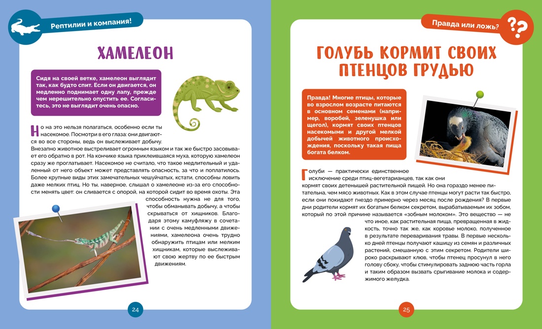 Книга Махаон Альбуи В. Невероятные животные - фото 8