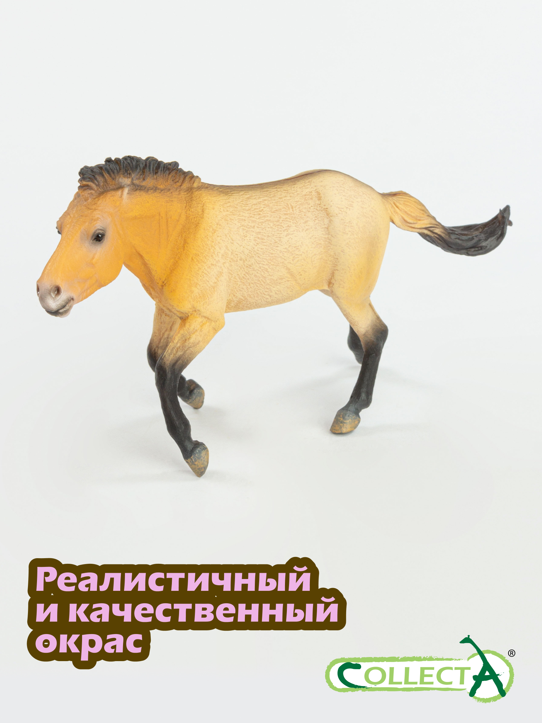 Игровой набор Collecta Жеребец Пржевальского - фото 4