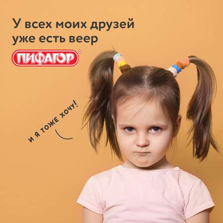 Касса-веер Пифагор Согласные