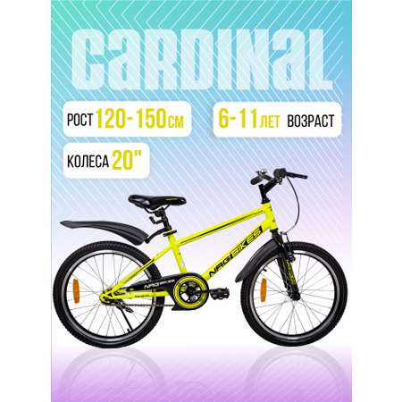 Двухколесный велосипед NRG BIKES 20 дюймов