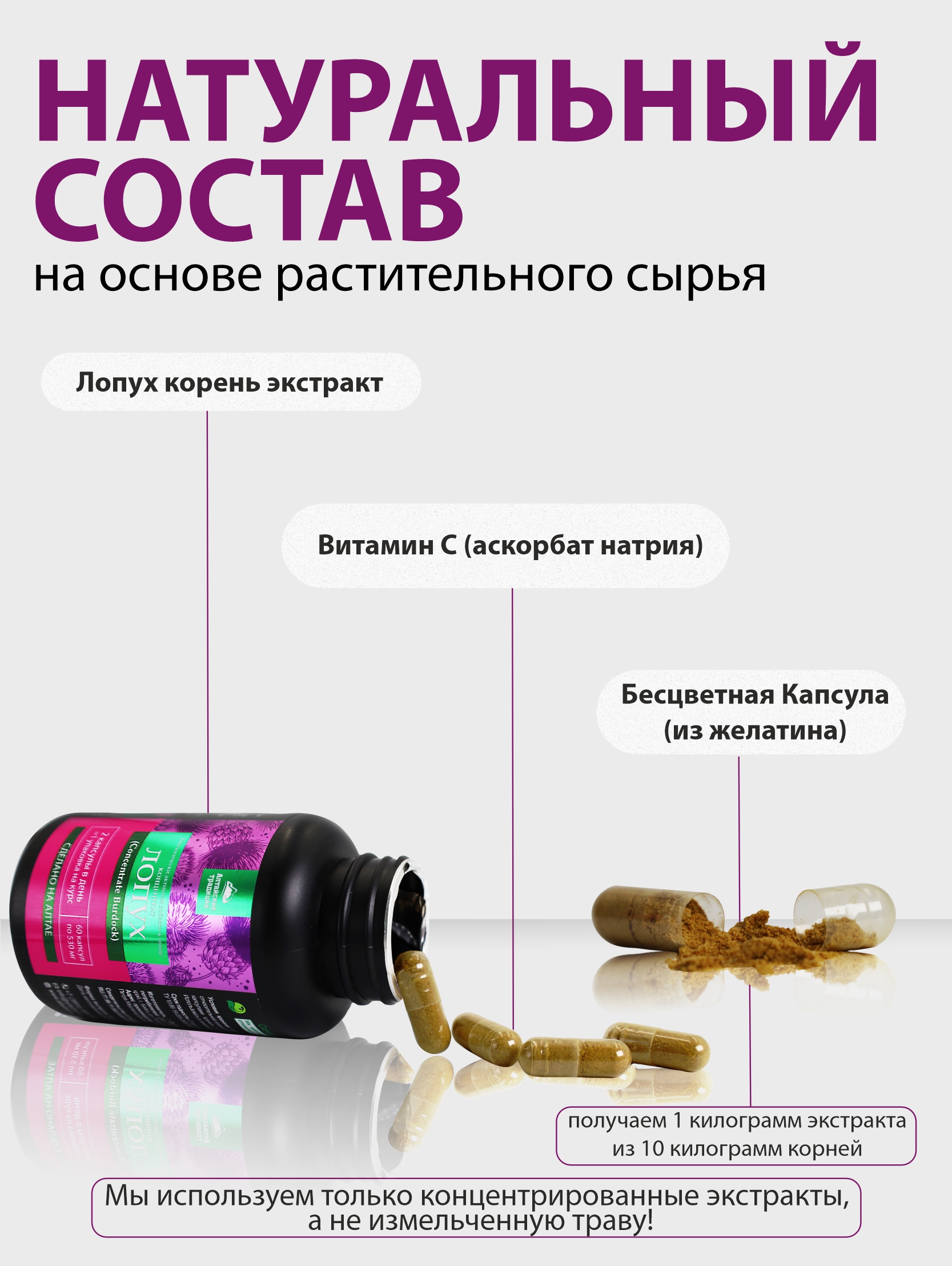 Концентрат пищевой Алтайские традиции Лопух корень 60 капсул - фото 3