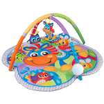 Коврик Playgro