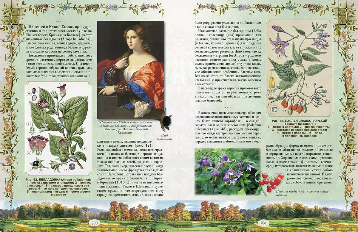 Книга Белый город Из Зеленого Царства. Популярные очерки из мира растений - фото 10