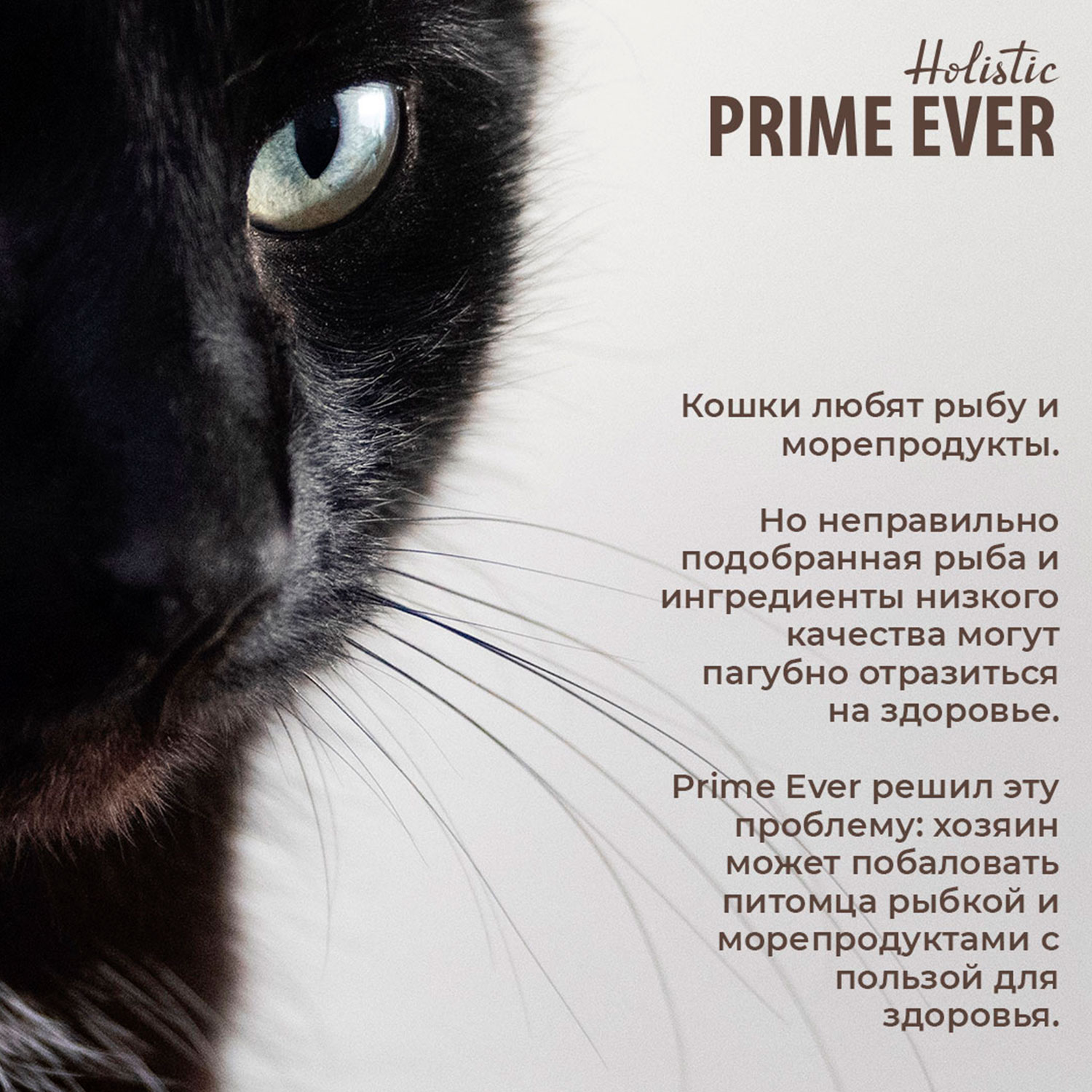 Корм для кошек Prime Ever тунец с белой рыбой в желе влажный 0.08кг - фото 4