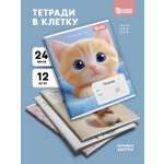 Тетрадь SCHOOLFORMAT клетка 12 шт.