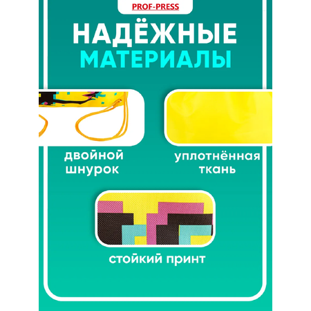 Мешок для обуви Prof-Press