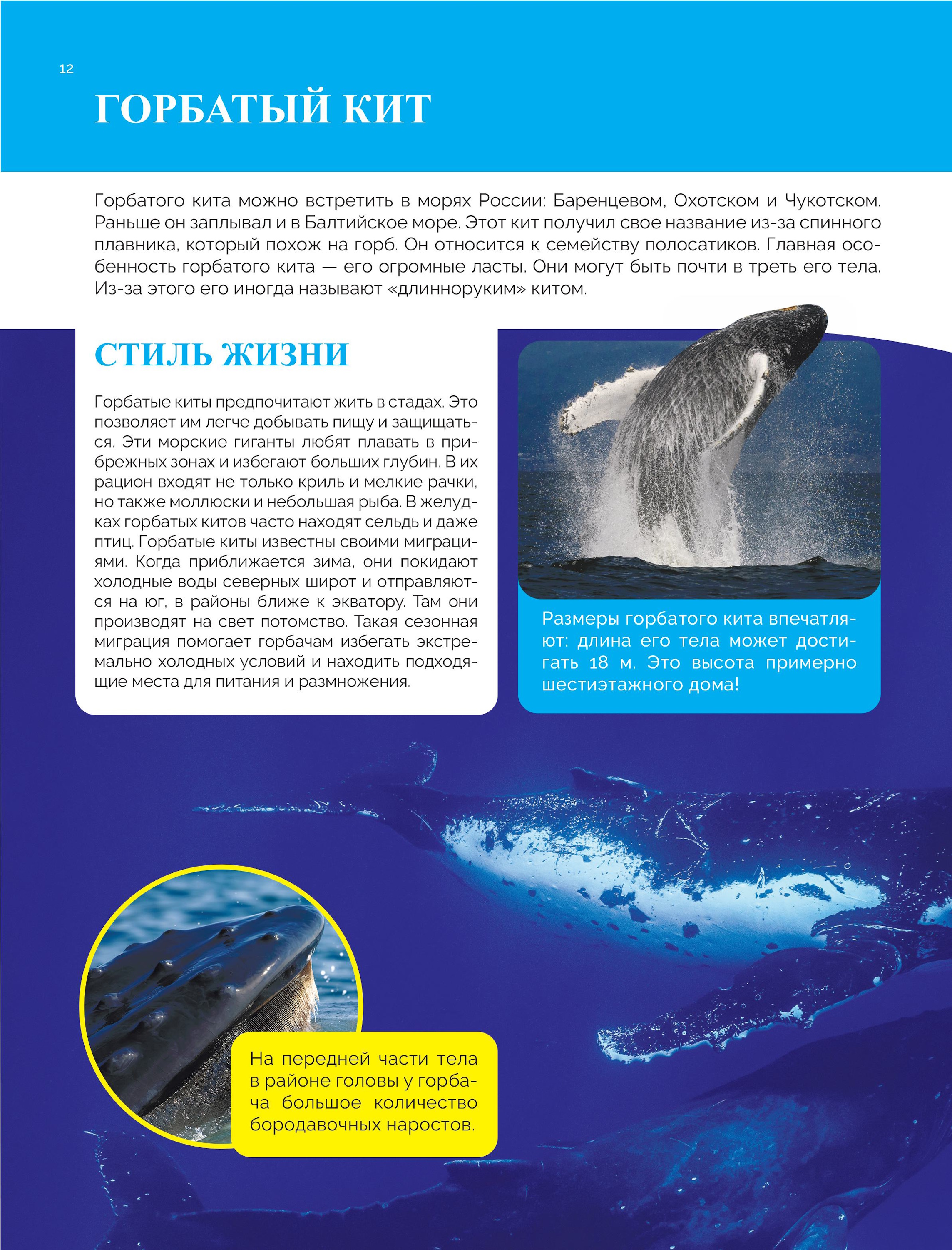 Книга Эксмо Красная книга России Большая - фото 10