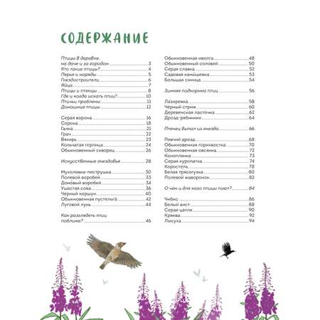 Книга Эксмо Птицы в деревне. Где найти и как узнать