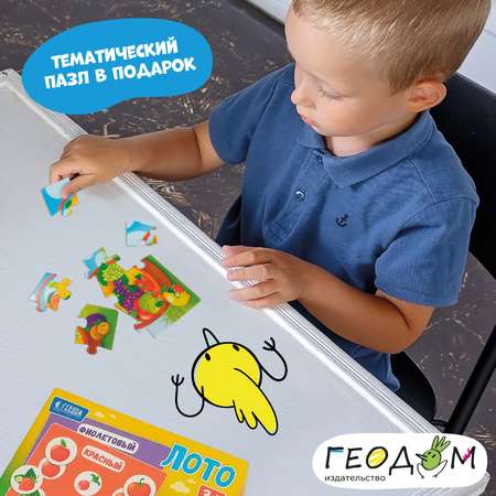 Настольная игра ГЕОДОМ Лото