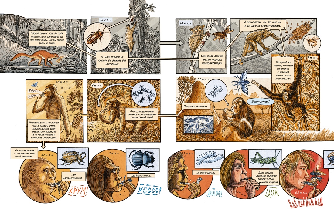 Книга КОЛИБРИ Купер П Инсектополис история насекомых от Большого взрыва до наших дней - фото 15
