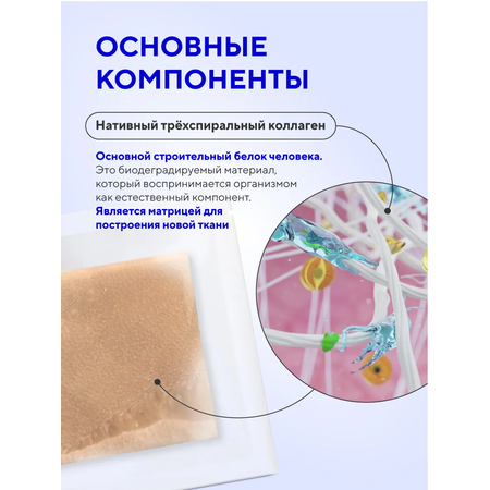Губка коллагеновая Зеленая Дубрава кровоостанавливающая 50*50мм 1шт