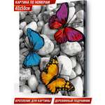Картина по номерам Hobby Paint Бабочки в ассортименте