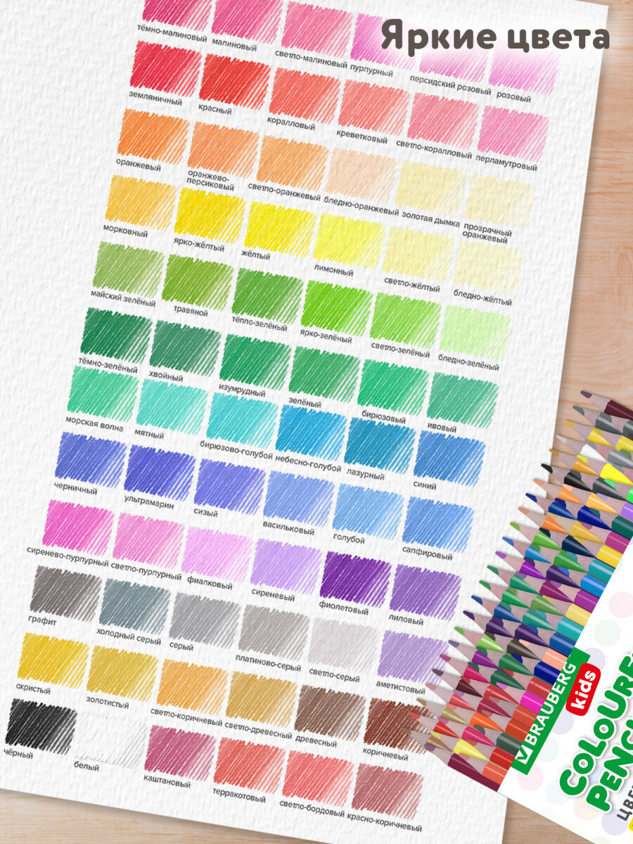 Карандаши цветные Brauberg 72 шт. - фото 4