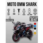 Электромотоцикл TOYLAND BMW S1000RR Shark