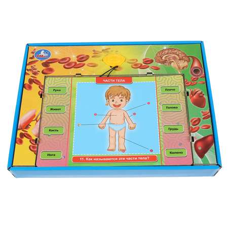 Настольная игра УМка Электровикторина