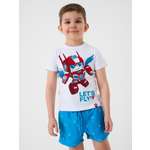 Шорты купальные PlayToday