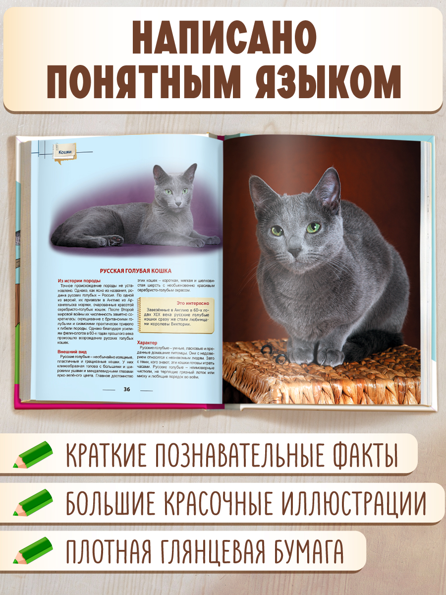 Книга Проф-Пресс Энциклопедия для детей. Кошки - фото 2