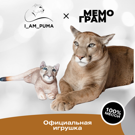 Сквиш Мемограм