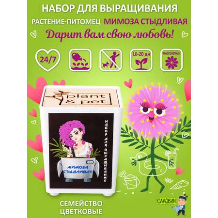 Набор для выращивания Blabar
