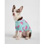 Футболка для собак и кошек Зоозавр