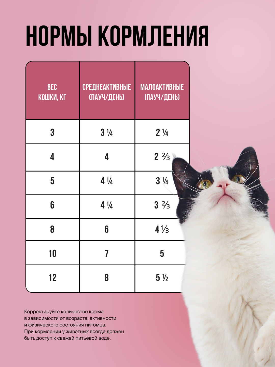 Полнорационный влажный корм BOWL WOW в соусе для стерилизованных кошек с телятиной с овощами 85г - фото 5