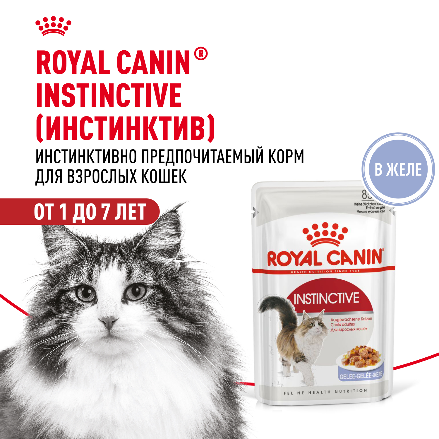 Корм влажный для кошек ROYAL CANIN Instinctive 85г желе пауч 77848 - фото 1