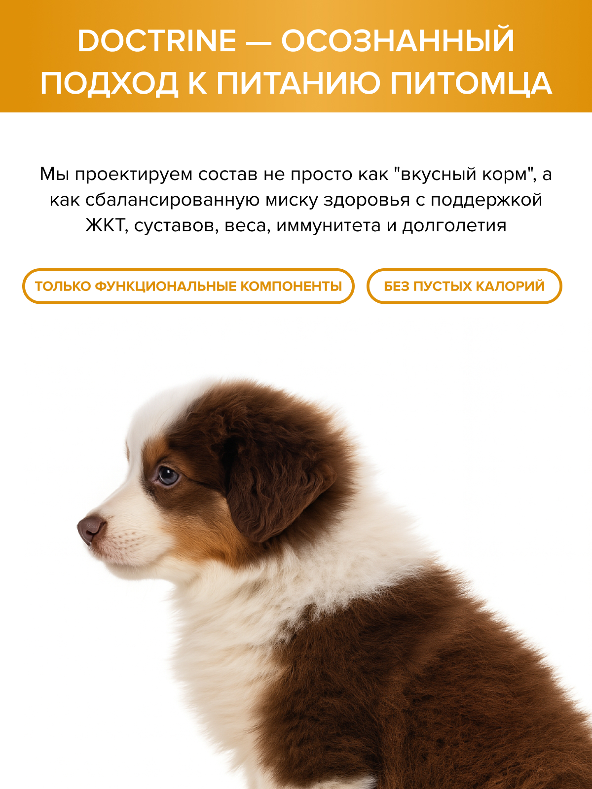 Корм для щенков DOCTRINE сухой с индейкой и рисом 3 кг - фото 10