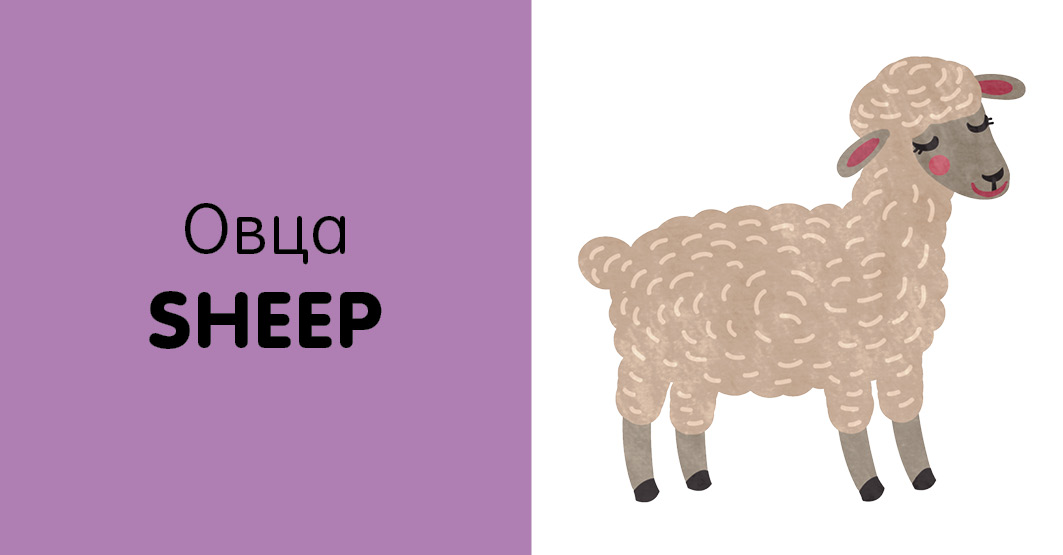 Книга Clever познаем мир вместе Английский язык Животные - фото 5
