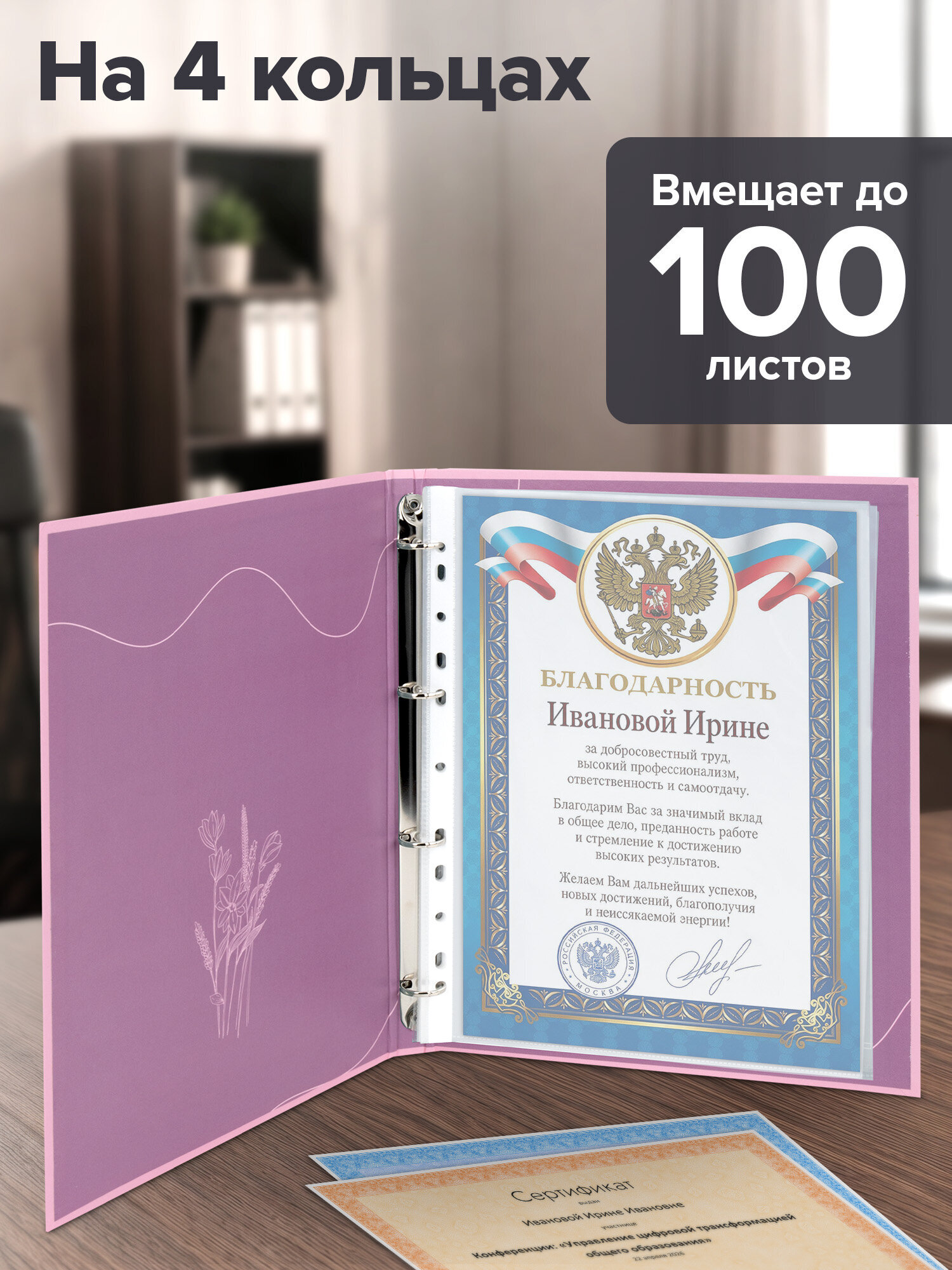 Портфолио школьника Brauberg папка А4 на кольцах 20 файлов для девочки - фото 2