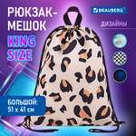 Мешок для обуви Brauberg