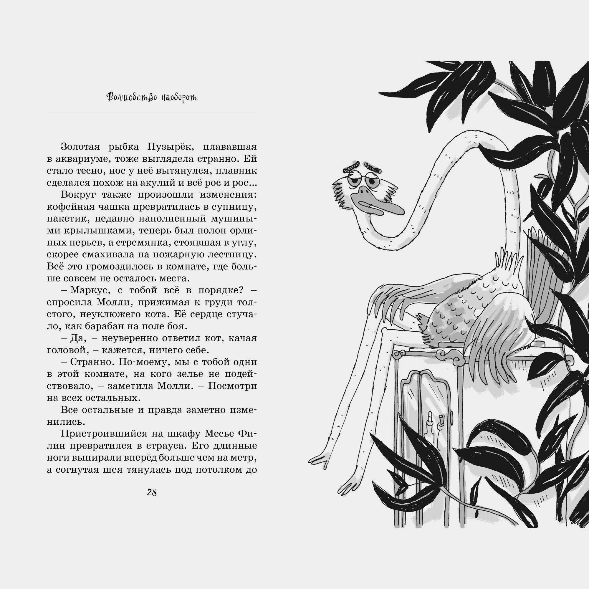 Книга Махаон Поль Бопэр. Кот колдуньи Молли. Волшебство наоборот. - фото 7