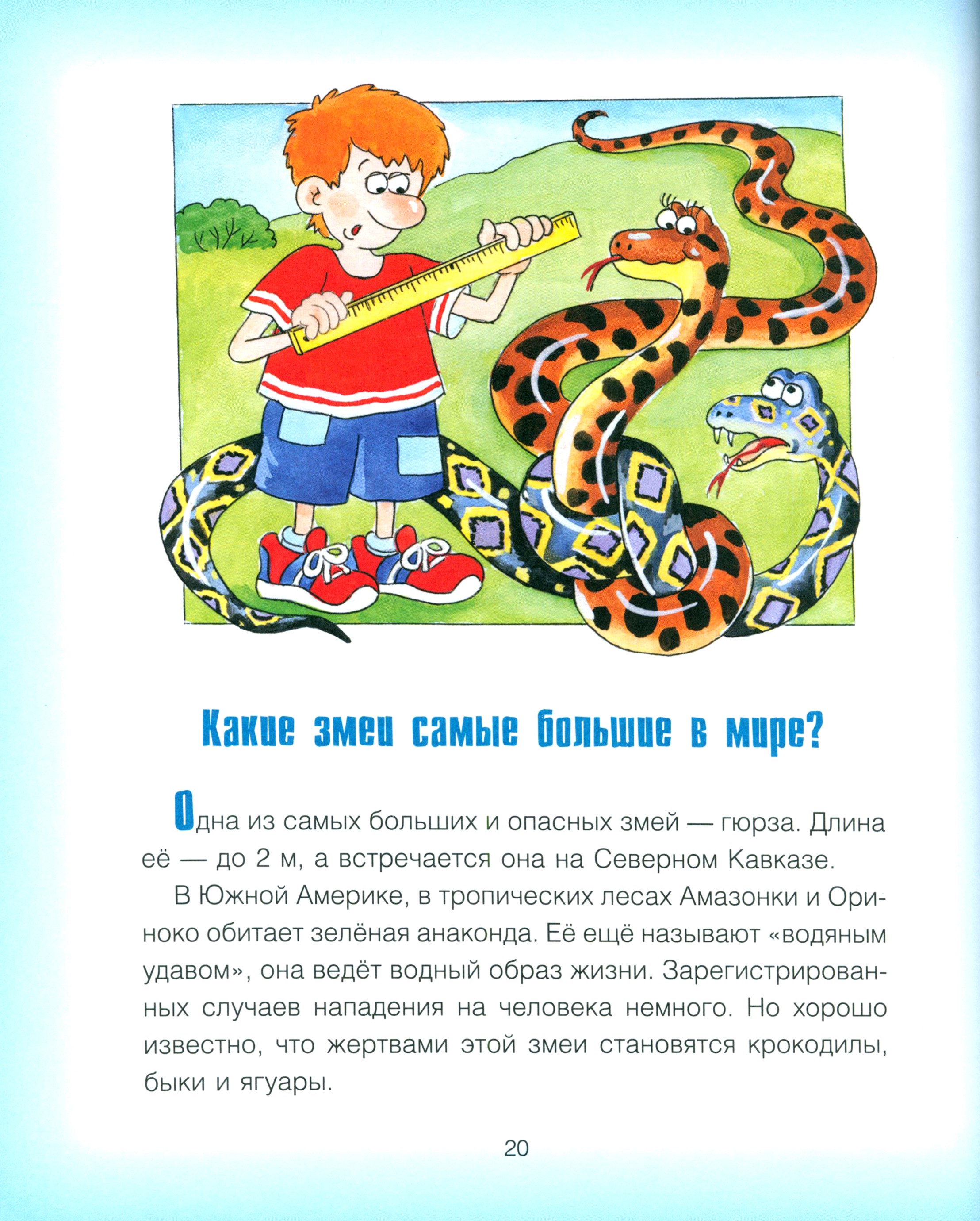 Книга Качели Где у птицы компас. Почемучкины вопросы - фото 6
