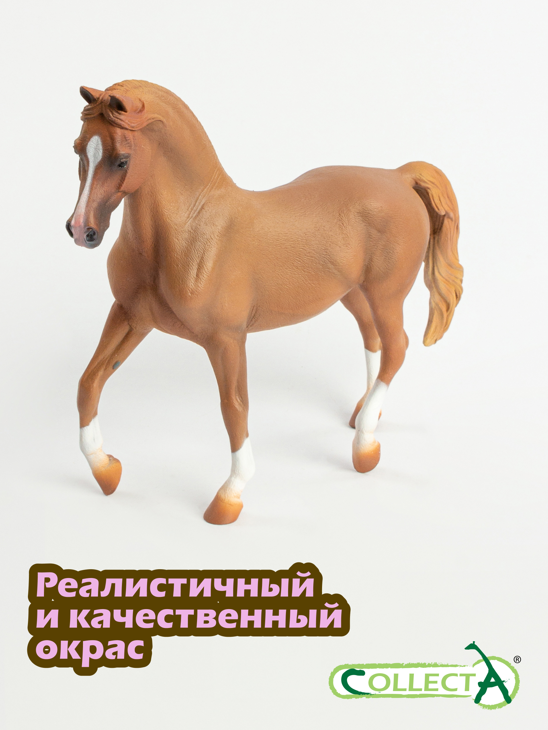Фигурка Collecta Лошадь Кобыла Арабская каштан - фото 5