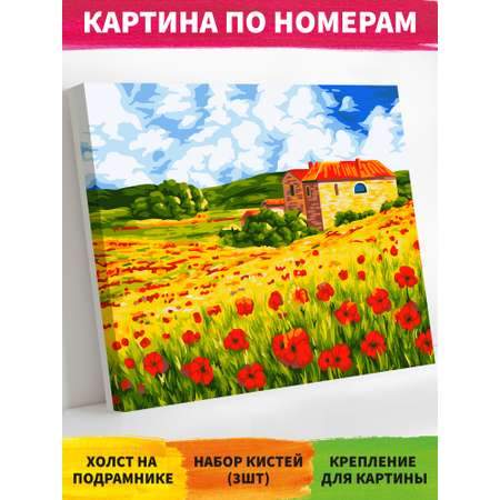 Картина по номерам Русская живопись Поляна маков