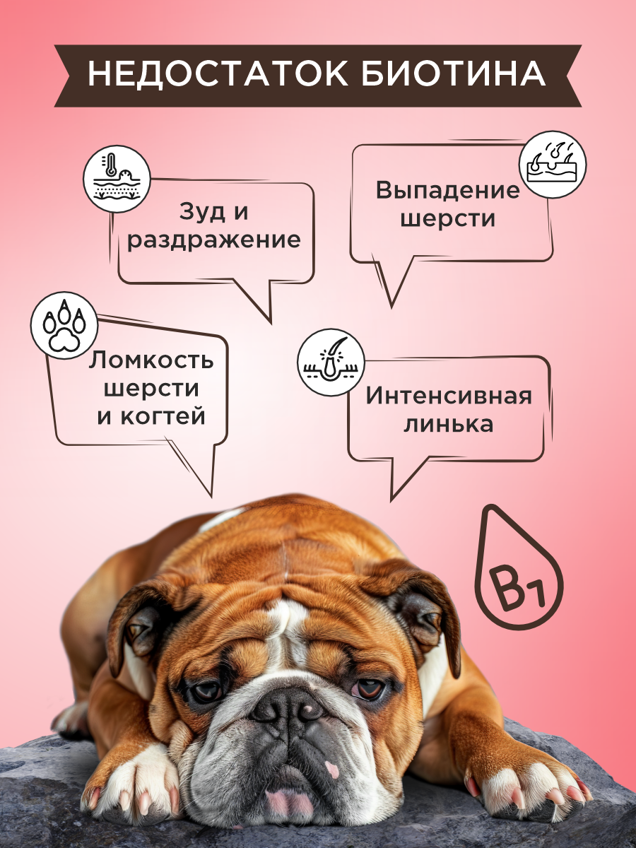 Полезное лакомство для собак GOODR DOG со вкусом альпийской говядины 90 таблеток - фото 4