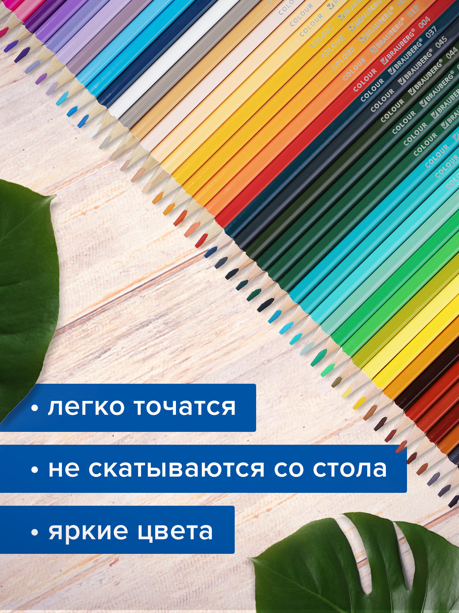 Карандаши цветные Brauberg 50 шт. - фото 4
