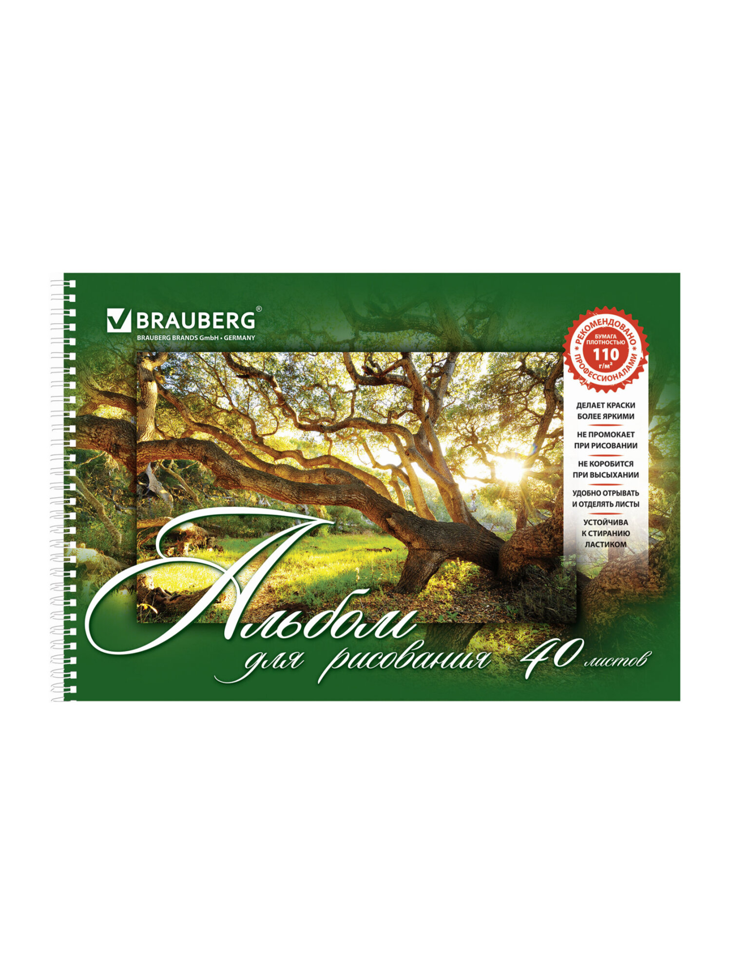 Альбом Brauberg А4 2 шт. - фото 8