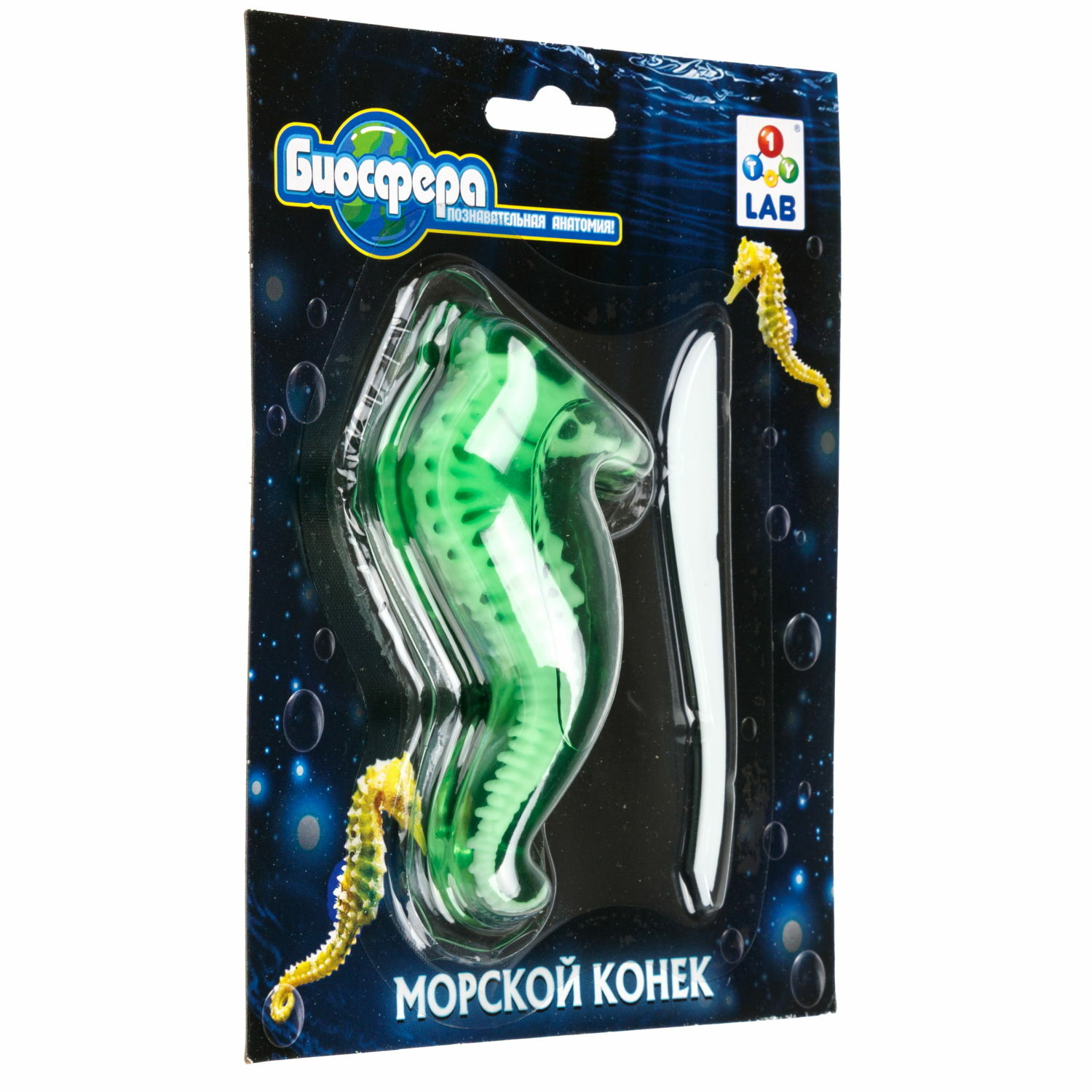 Набор для опытов 1TOY Морской конек - фото 4