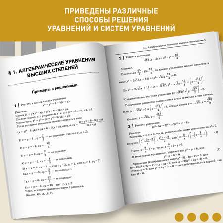 Книга Феникс Алгебра : Задачи-головоломки :7-11 классы : Математика ОГЭ ЕГЭ 2024 профильный уровень