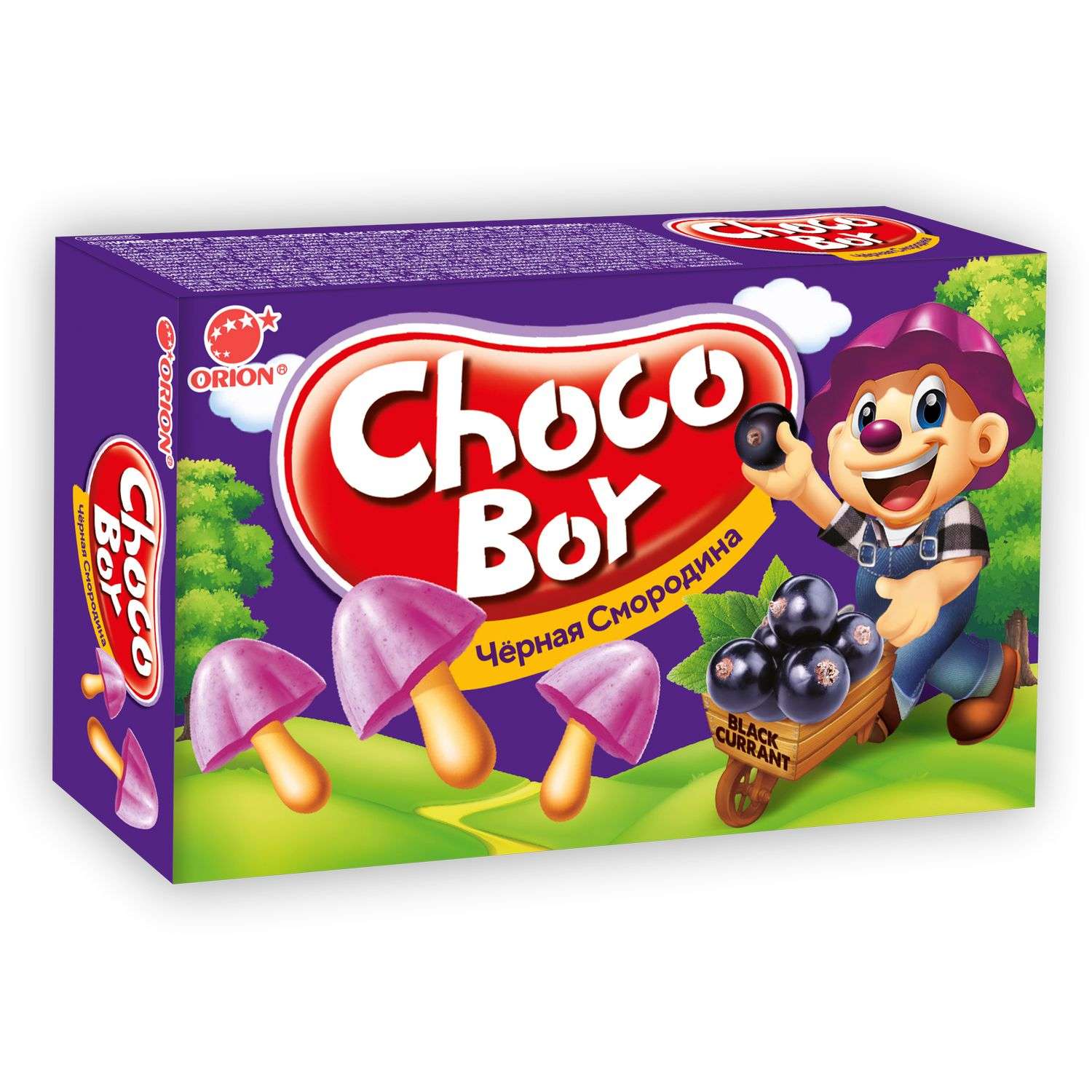 Печенье CHOCO-BOY чёрная смородина 45г - фото 1