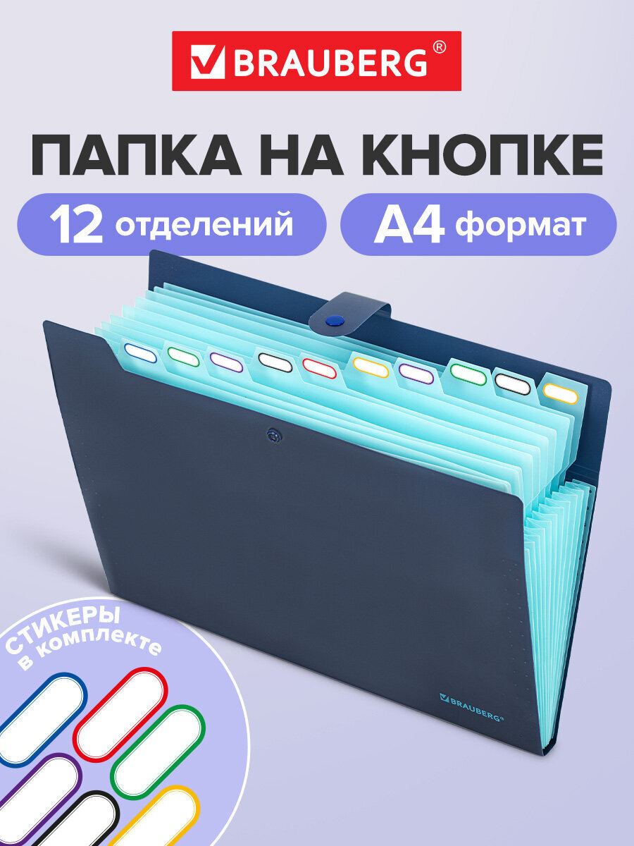 Папка-органайзер Brauberg А4 - фото 1