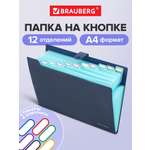 Папка-органайзер Brauberg А4