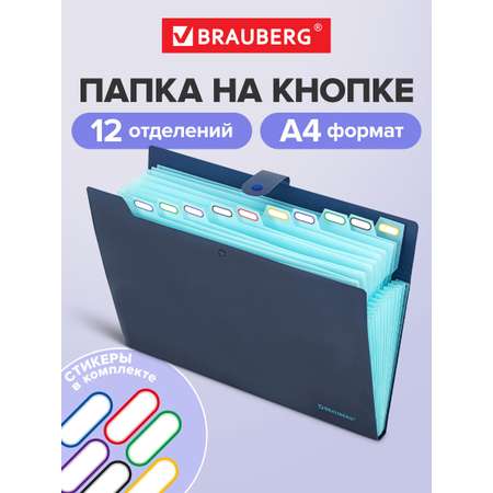 Папка-органайзер Brauberg А4