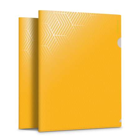 Папка-уголок Flexpocket